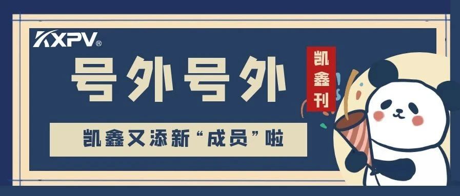 【凱鑫刊-第三期】凱鑫步入發(fā)展新征程，開啟發(fā)展新篇章